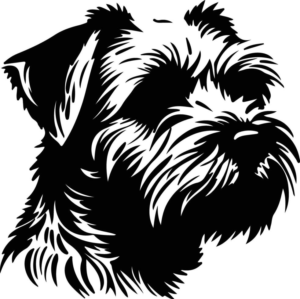 norfolk terrier silueta retrato vector