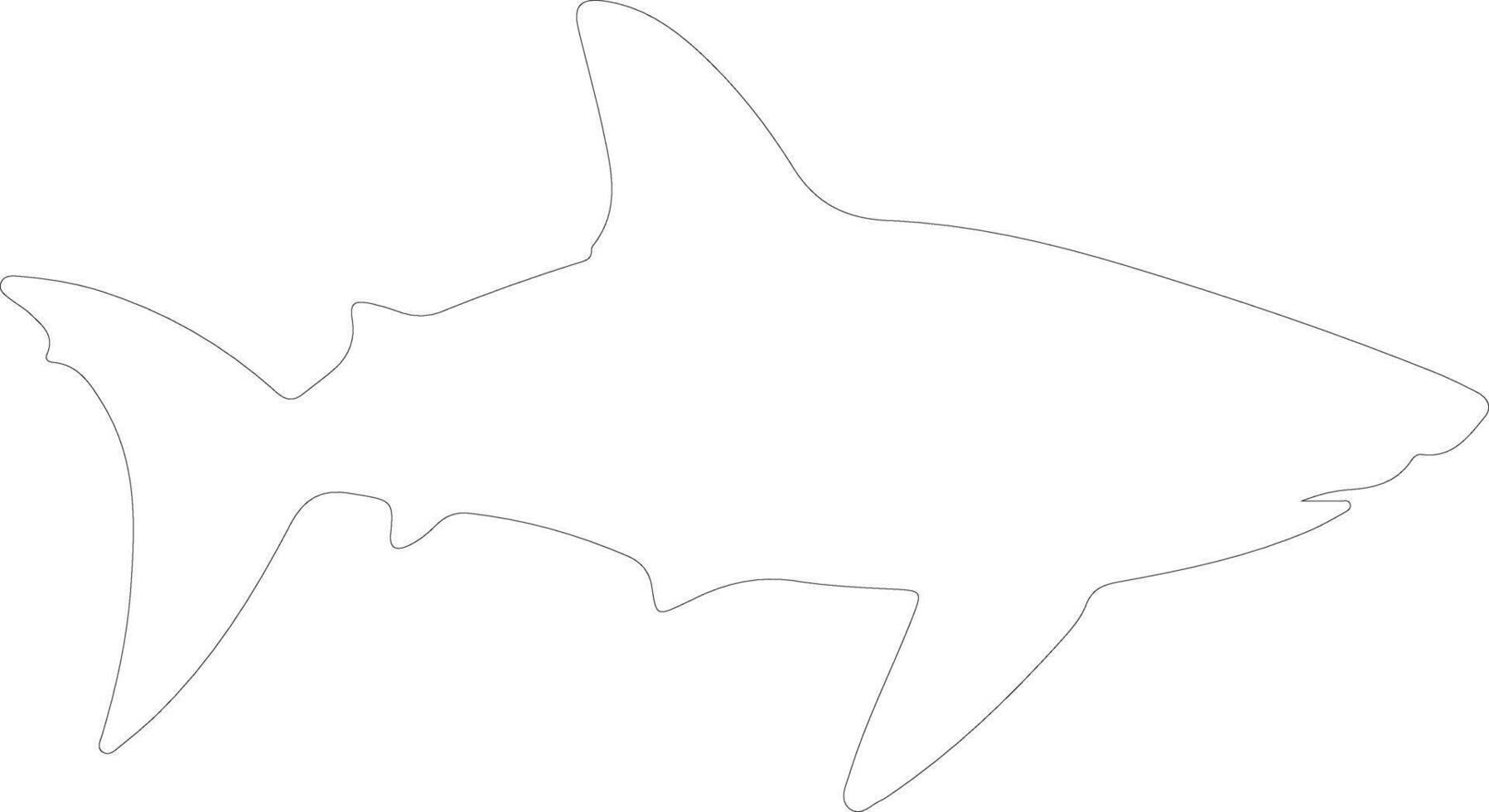 Port Jackson shark   outline silhouette vector