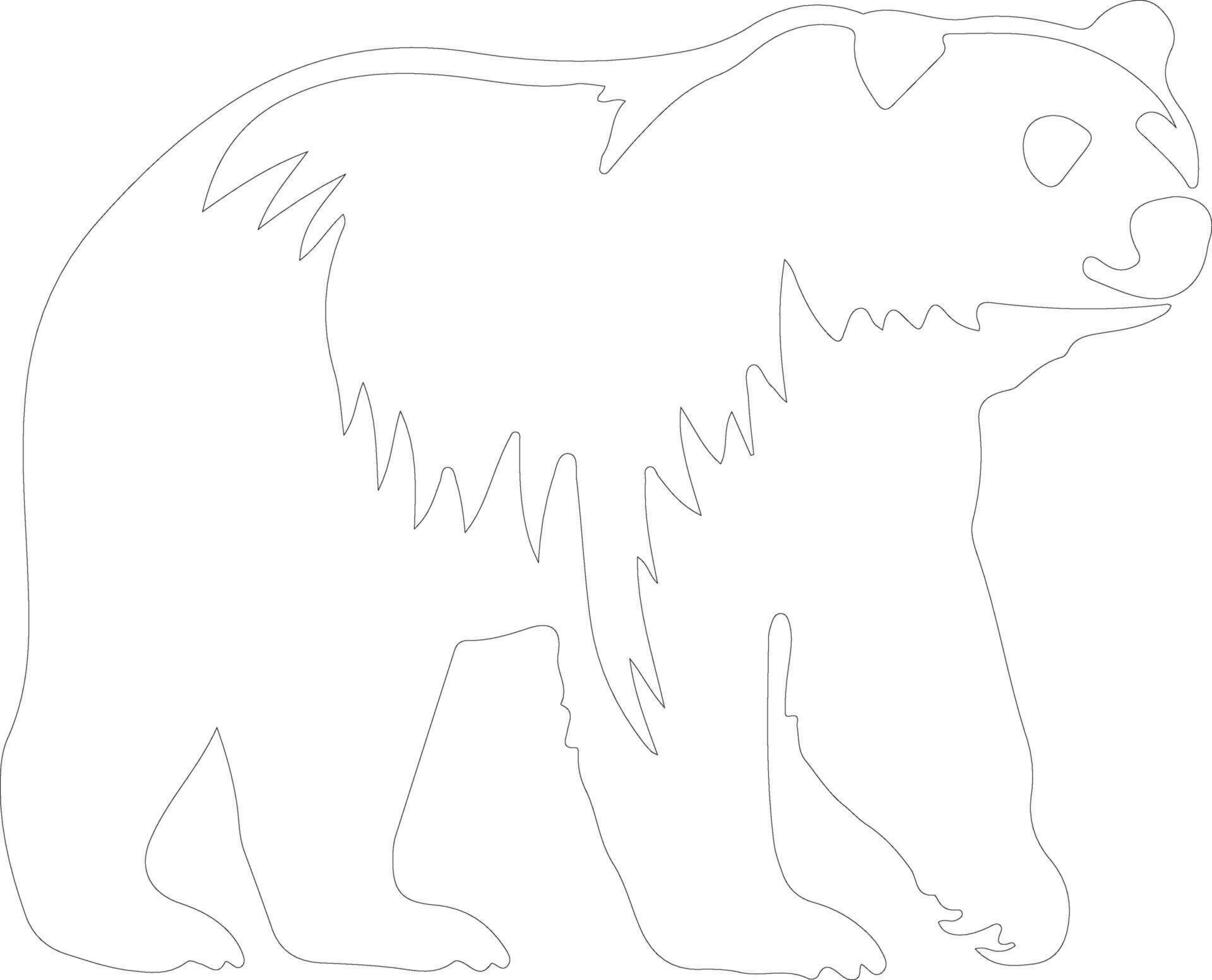 polar oso contorno silueta vector