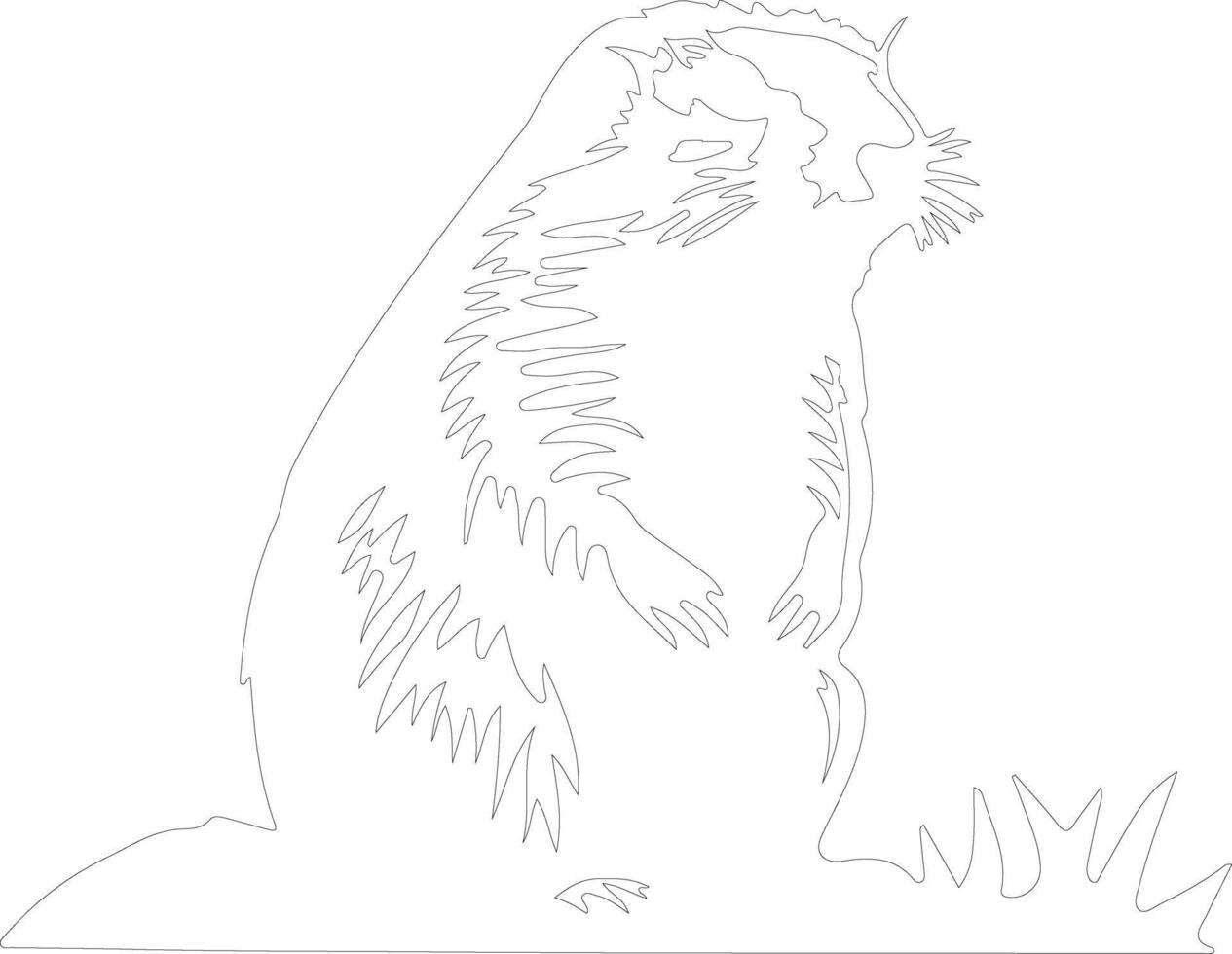 woodchuck outline silhouette vector