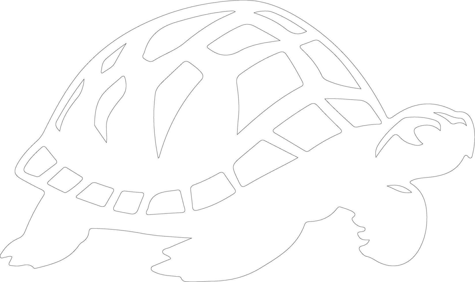 tortoise   outline silhouette vector