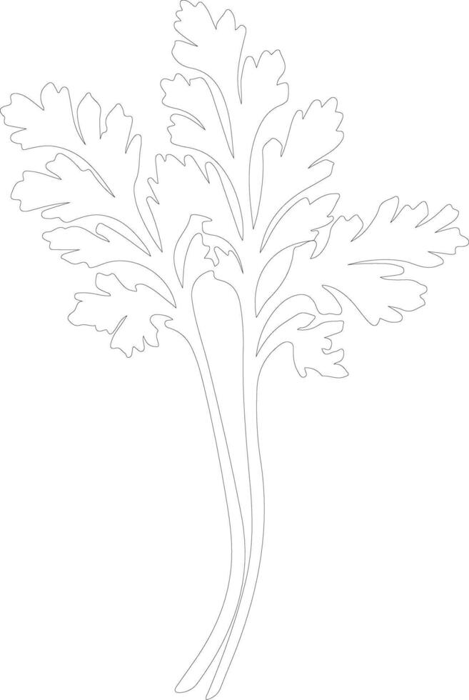 celery  outline silhouette vector