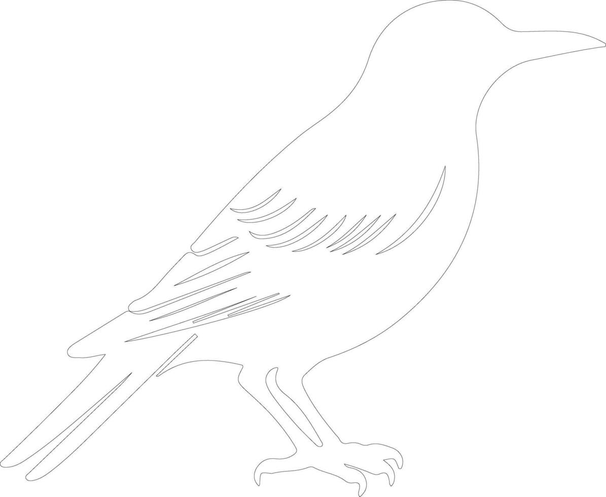 starling   outline silhouette vector