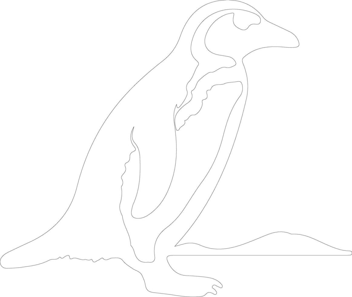 African penguin  outline silhouette vector