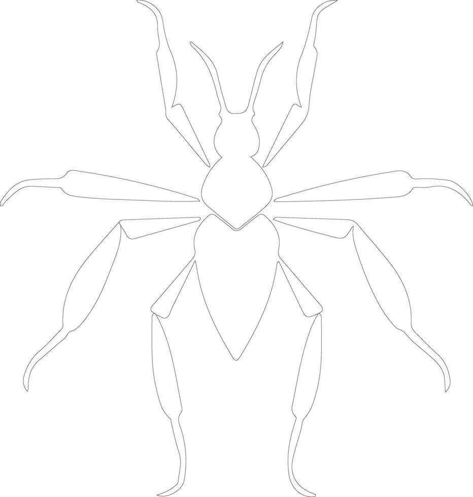 assassin bug  outline silhouette vector