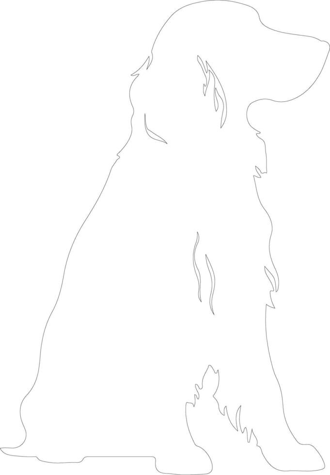 Irish Setter  outline silhouette vector