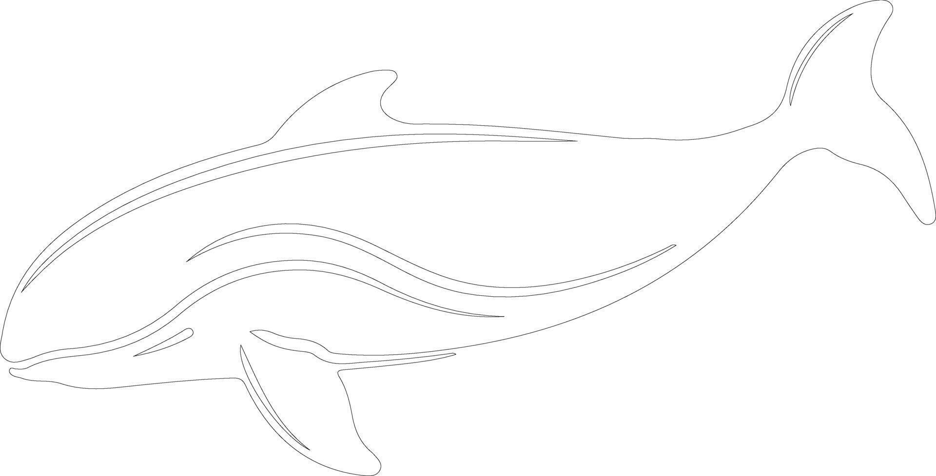 bowheadwhale outline silhouette vector