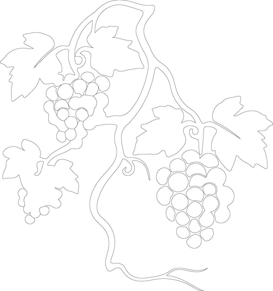 vinegarroon  outline silhouette vector
