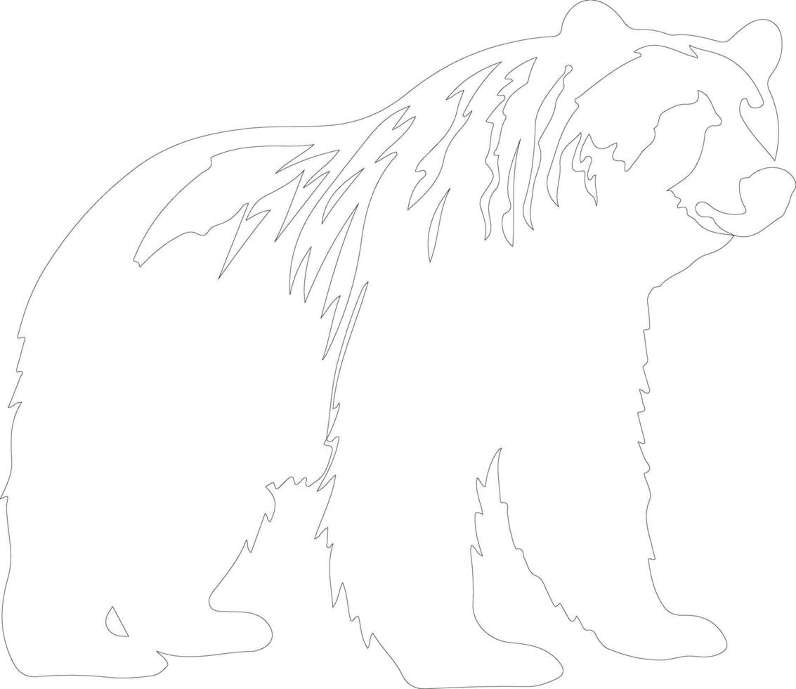 grizzly bear  outline silhouette vector