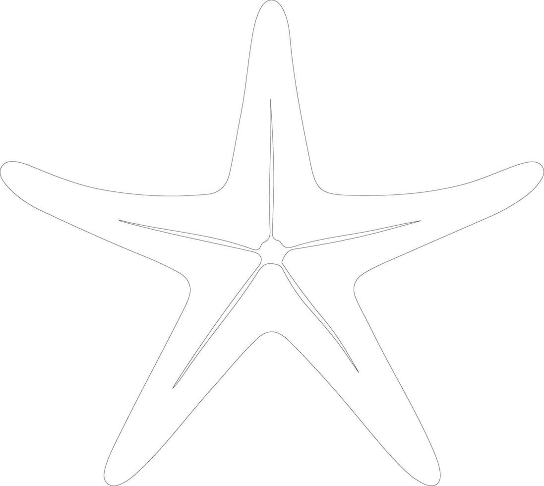 sea star   outline silhouette vector