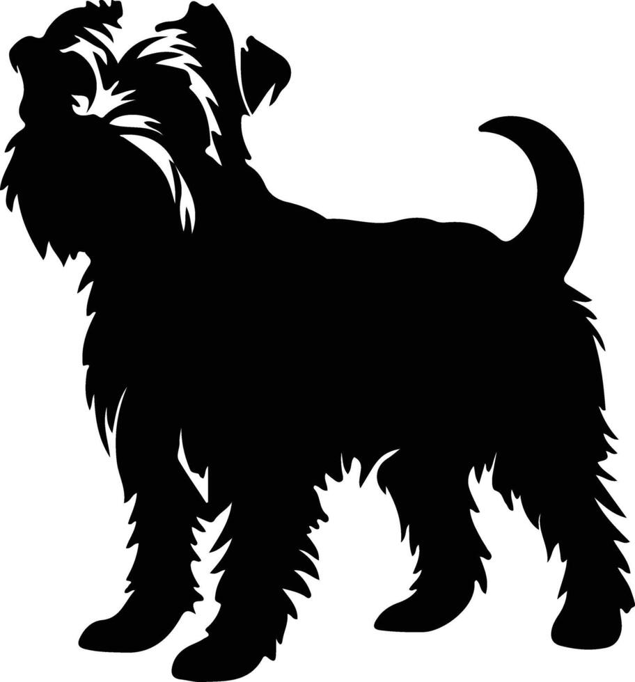 Glen of Imaal Terrier  silhouette portrait vector