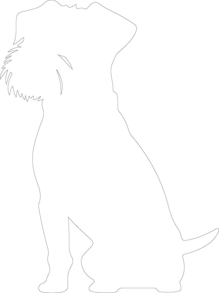 Border Terrier  outline silhouette vector