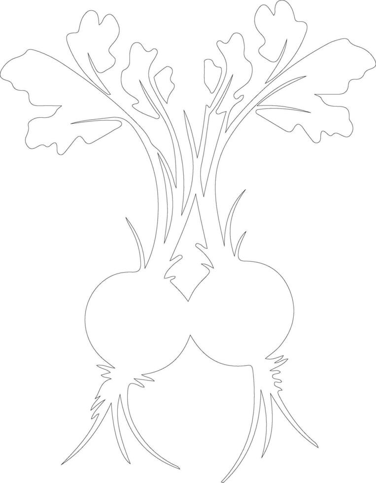 radish  outline silhouette vector