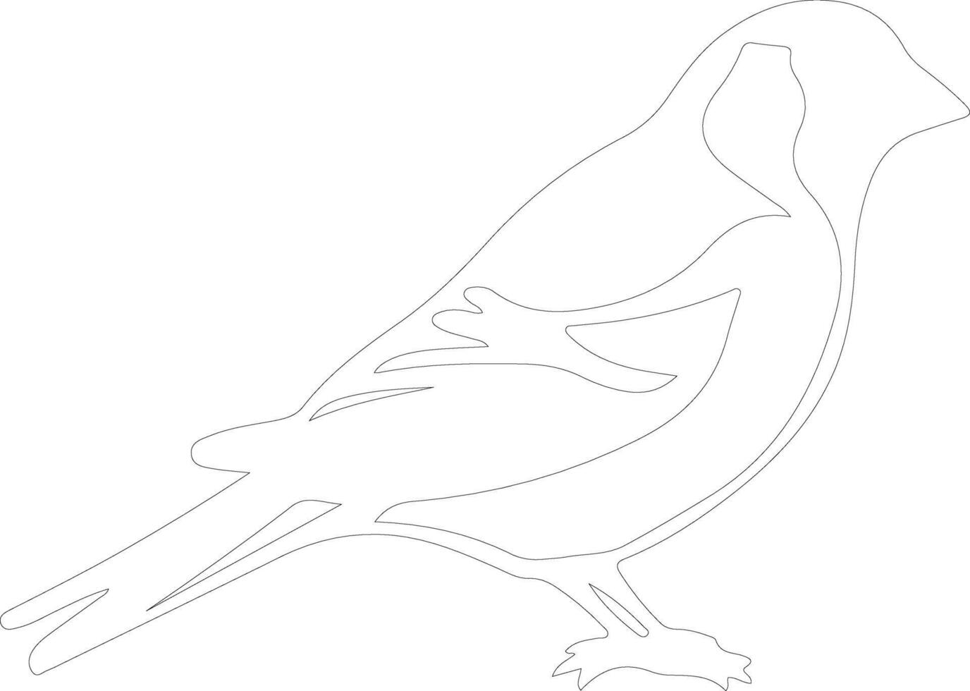 goldfinch  outline silhouette vector