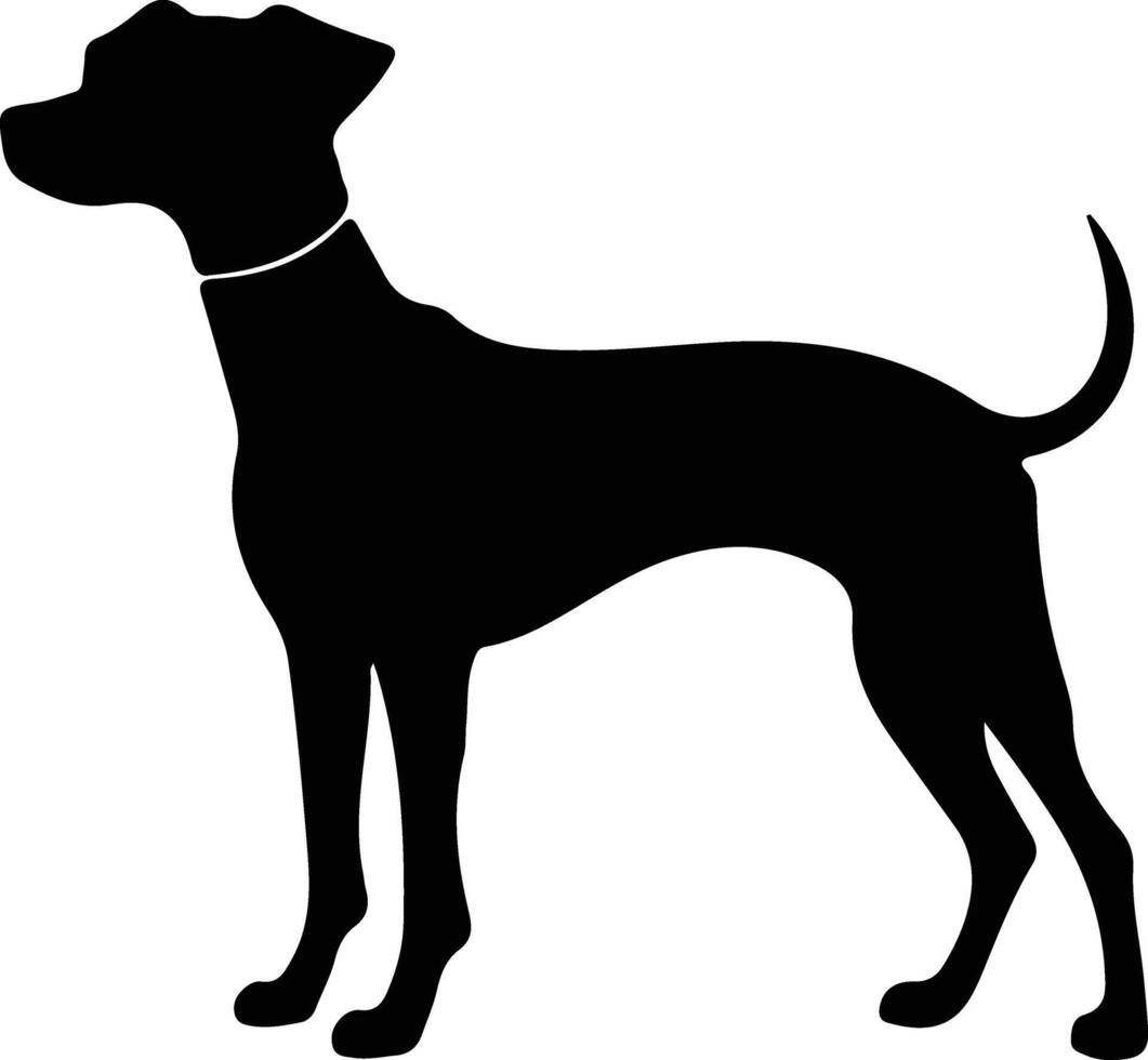 italiano galgo negro silueta vector