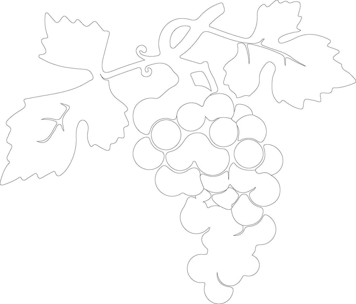 raisin  outline silhouette vector