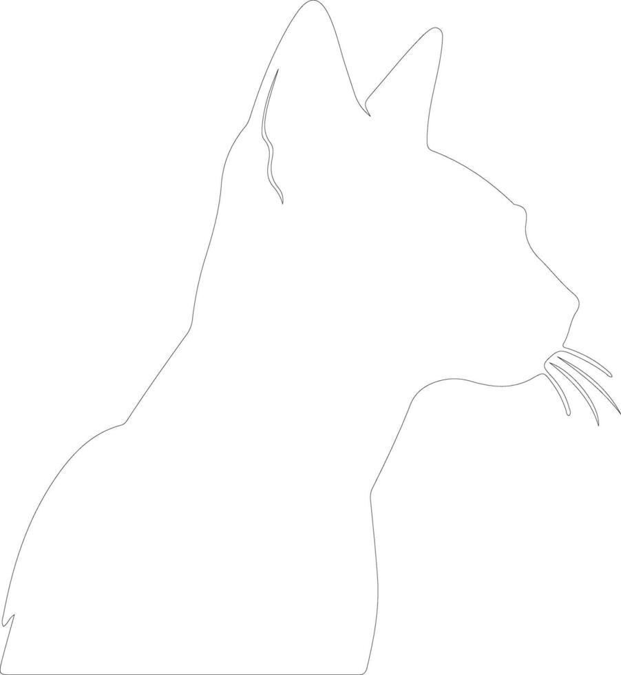 Abyssinian Cat  outline silhouette vector
