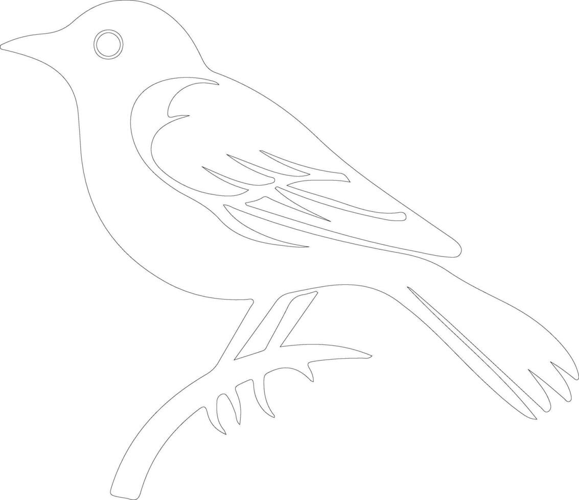 bird  outline silhouette vector
