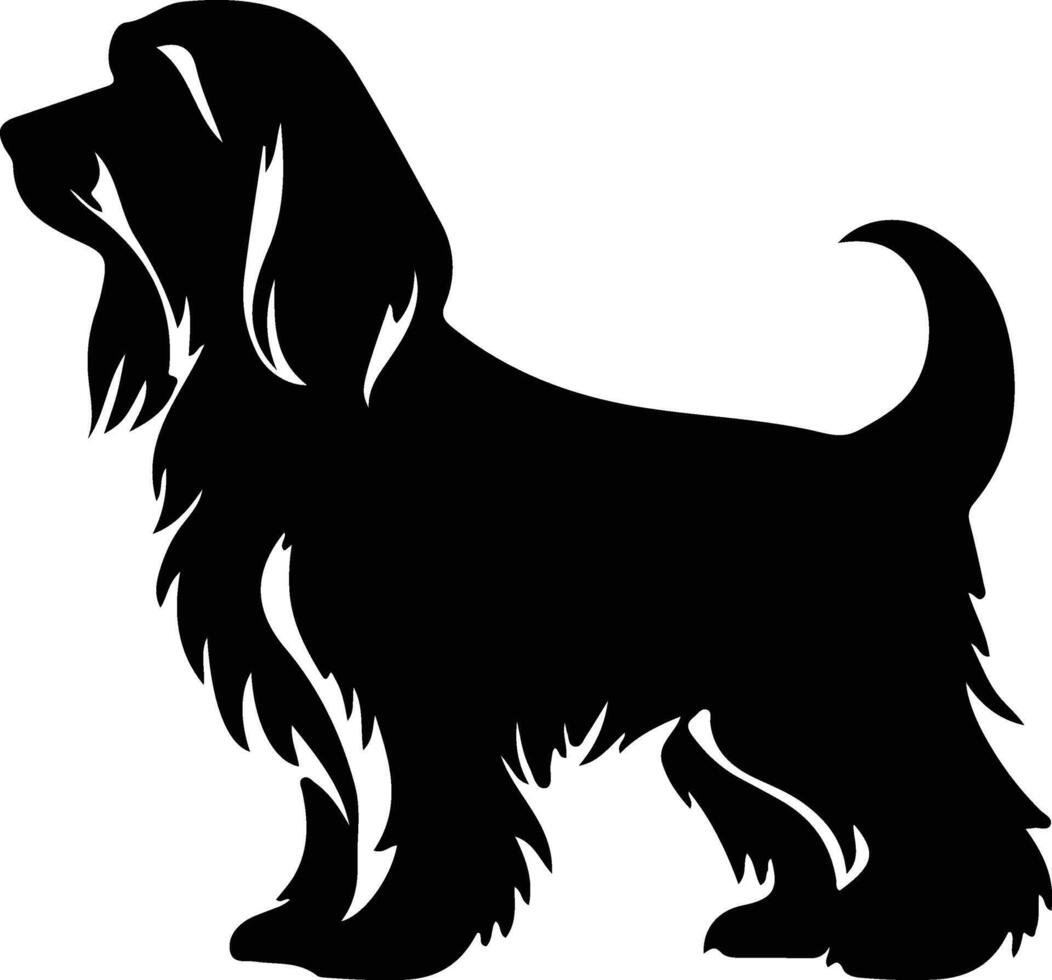 Petit Basset Griffon Venden    black silhouette vector