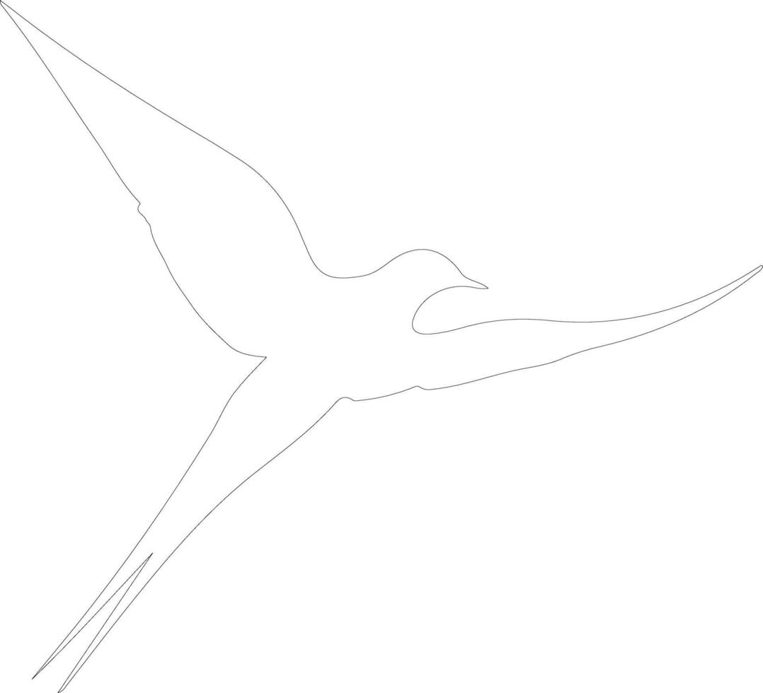 tern   outline silhouette vector
