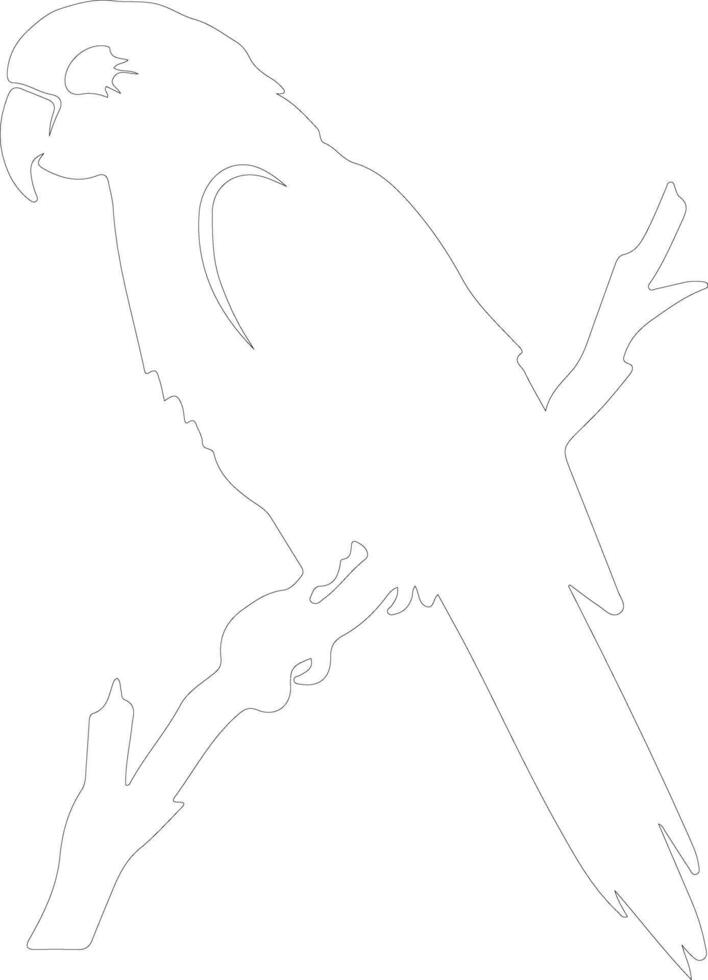 parrot outline silhouette vector
