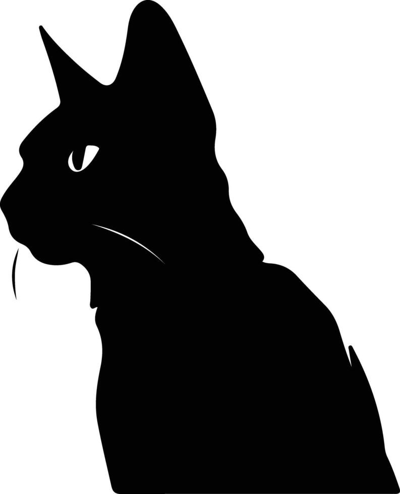 Seychellois Cat  silhouette portrait vector