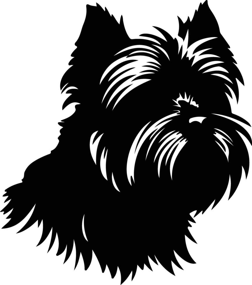 affenpinscher negro silueta vector