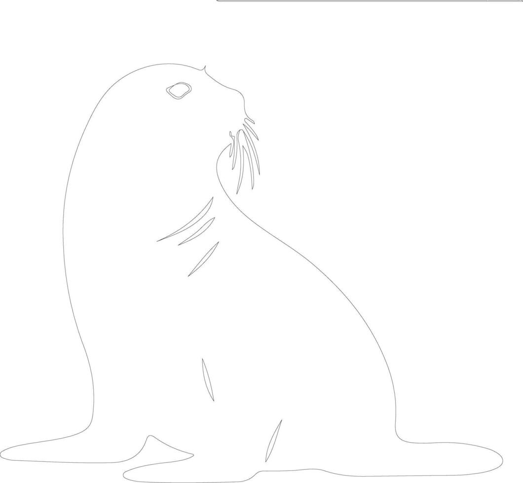 northern fur seal  outline silhouette vector