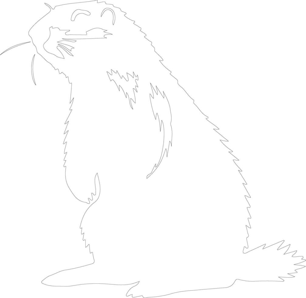 marmot outline silhouette vector