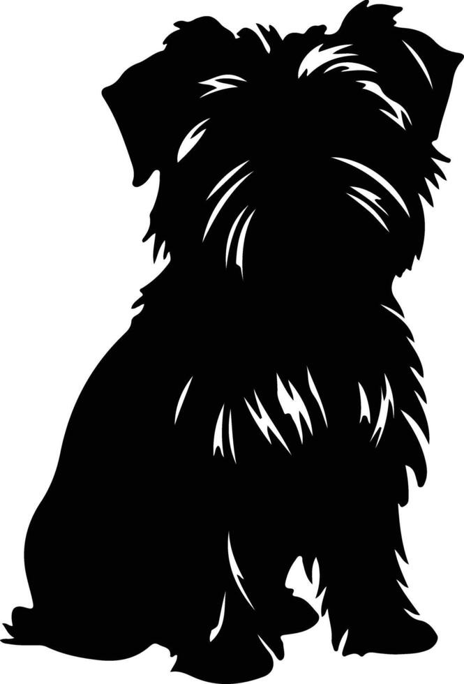 Affenpinscher black silhouette vector