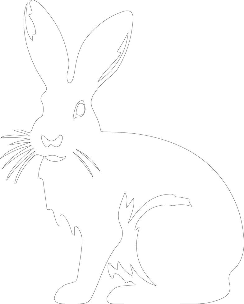 hare  outline silhouette vector