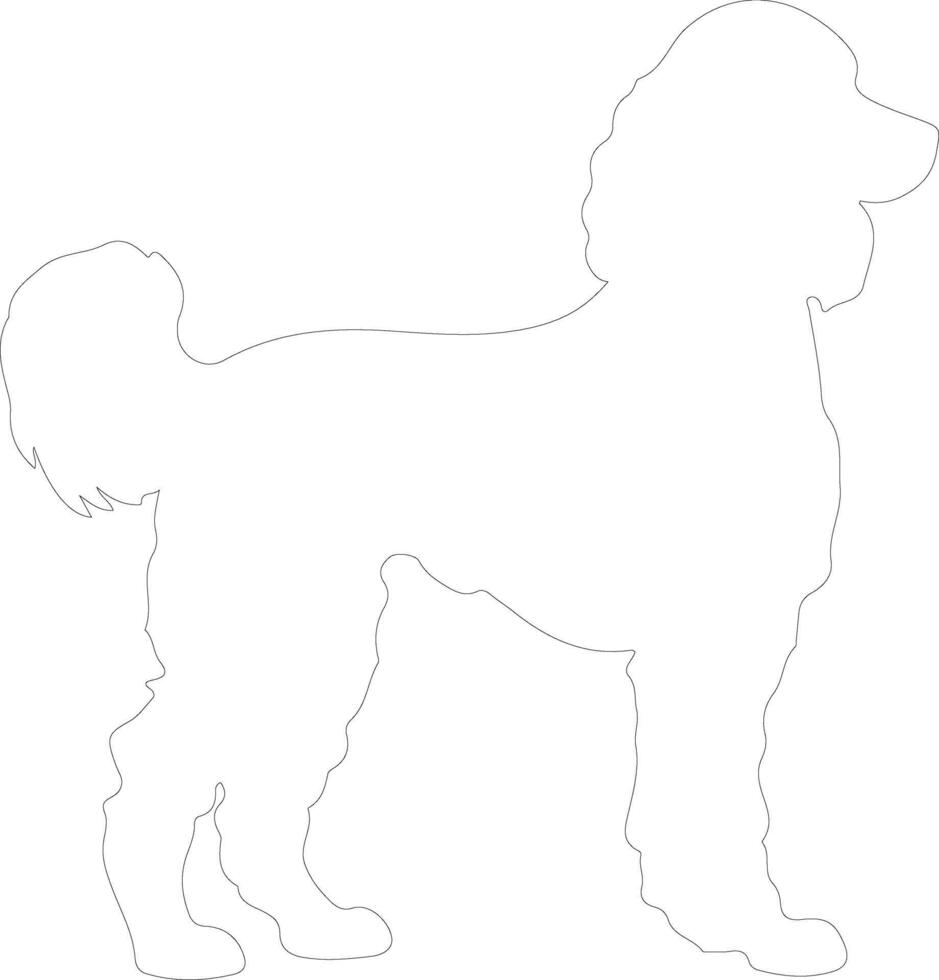 Irish Water Spaniel  outline silhouette vector