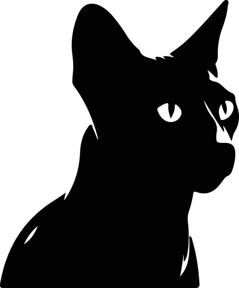 Tonkinese Cat  silhouette portrait vector