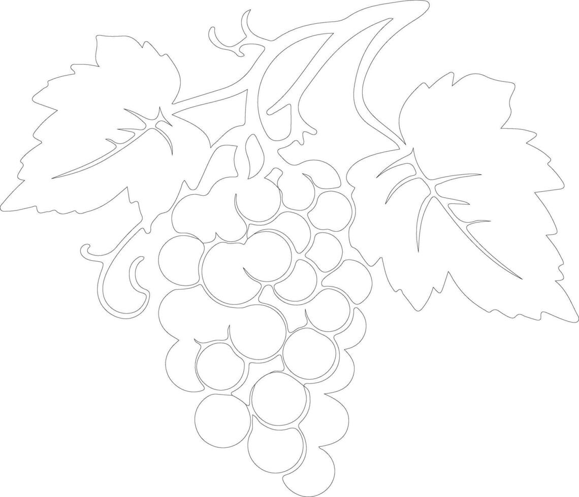 grape  outline silhouette vector