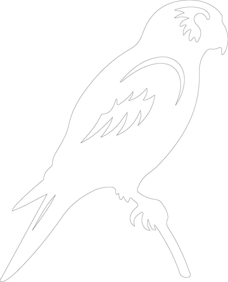 lorikeet  outline silhouette vector