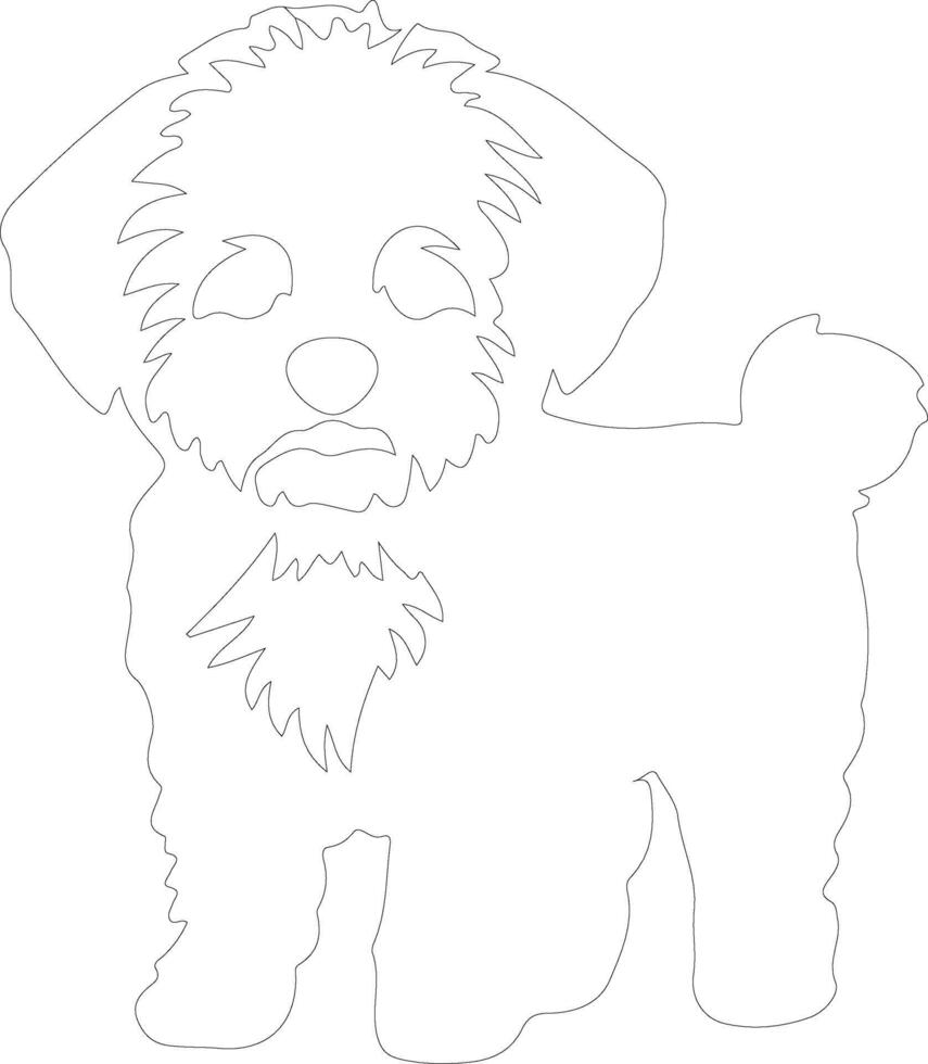 Bichon Frise  outline silhouette vector