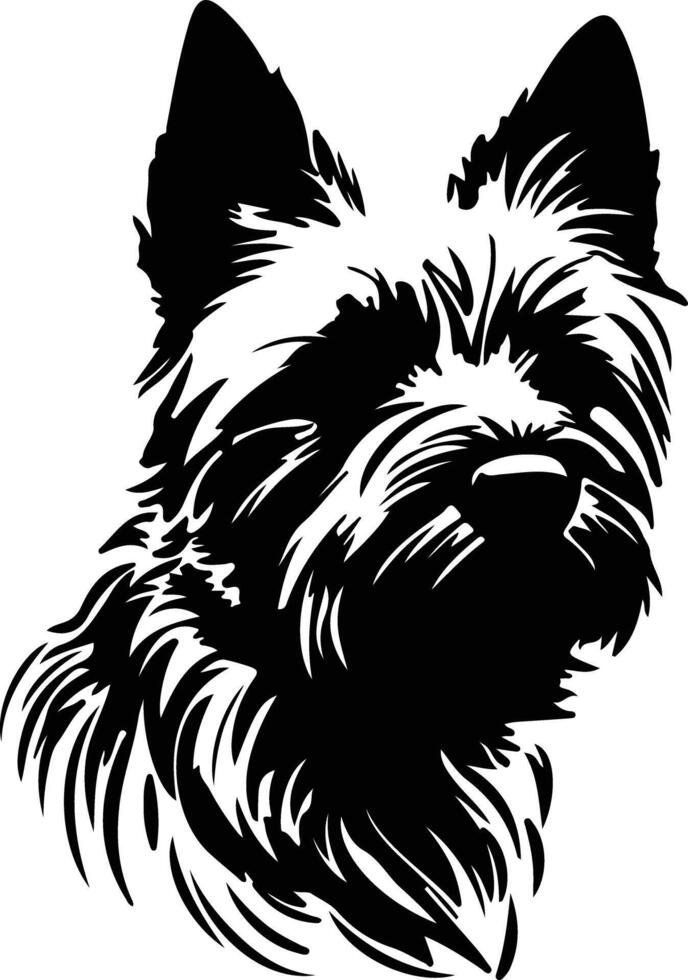 norwich terrier silueta retrato vector