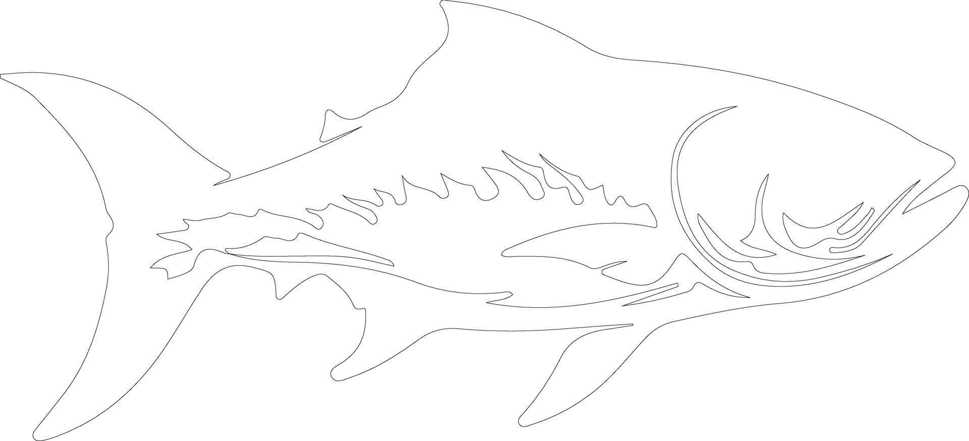 tarpon   outline silhouette vector
