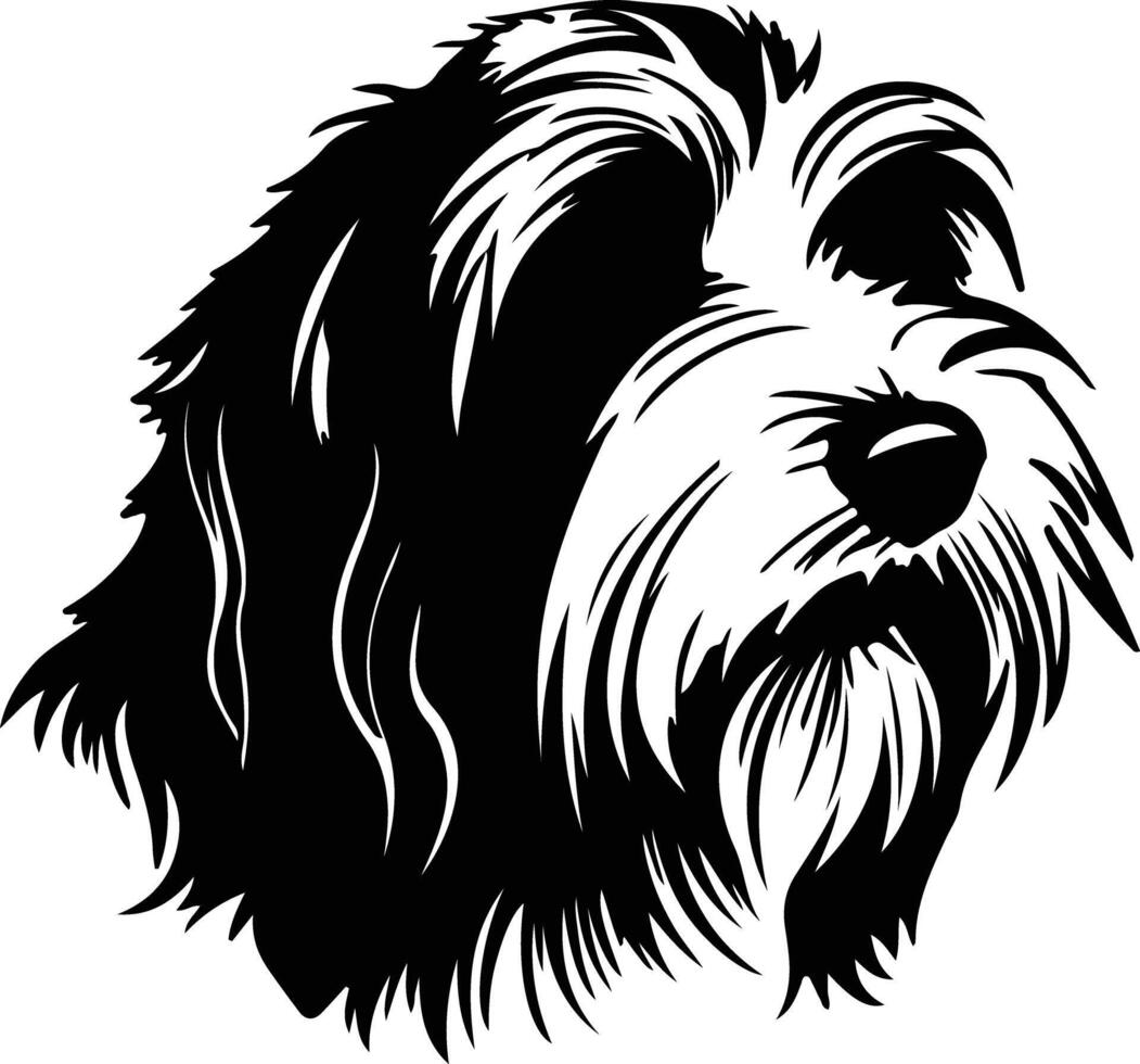 Bearded Collie  silhouette portrait vector