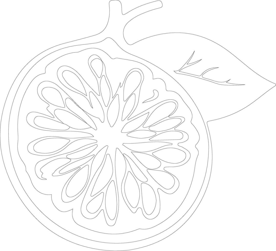 pomelo  outline silhouette vector