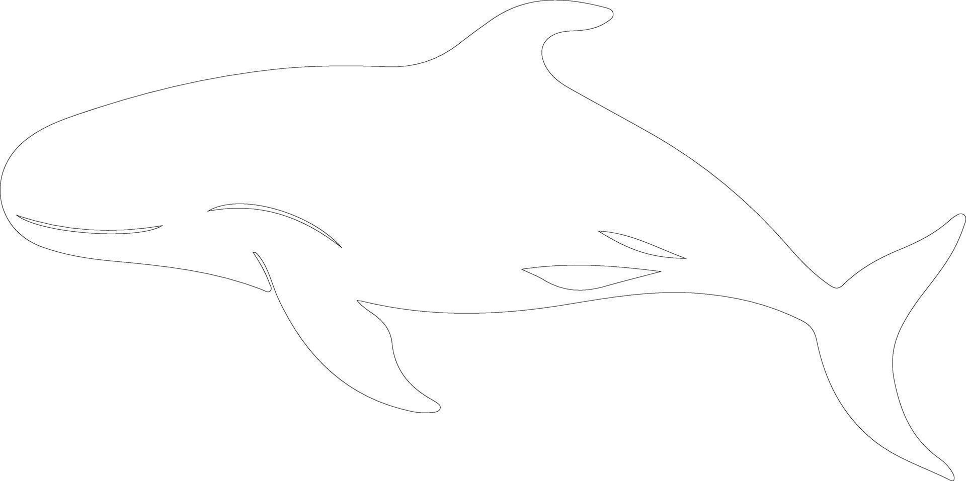 bowheadwhale outline silhouette vector