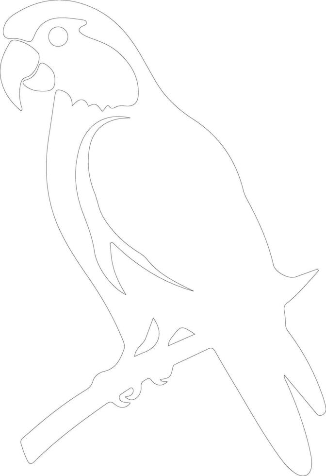 parrot  outline silhouette vector