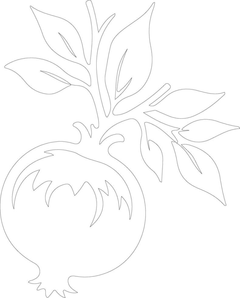 pomegranate  outline silhouette vector