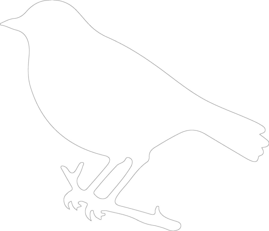 blackbird  outline silhouette vector