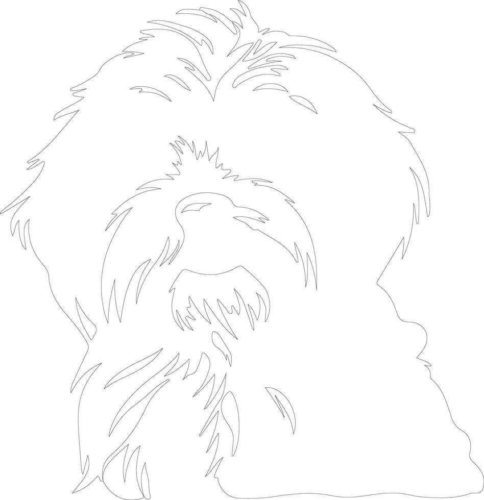 Havanese  outline silhouette vector