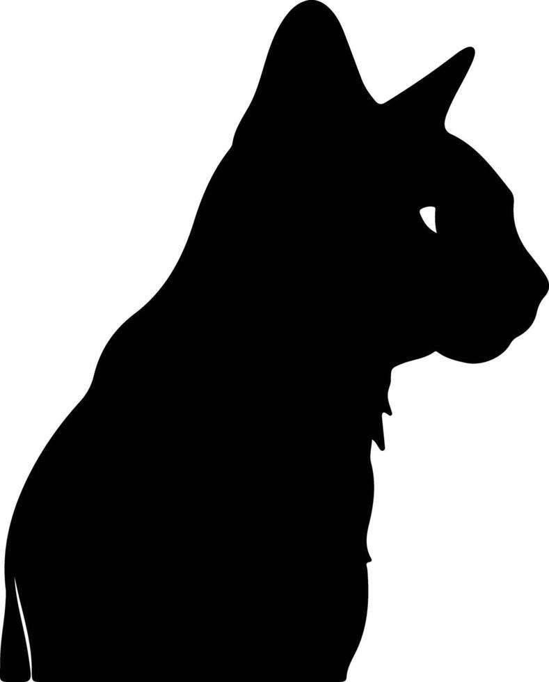 Burmilla Cat  silhouette portrait vector