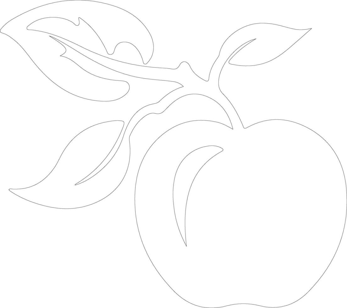 nectarine  outline silhouette vector