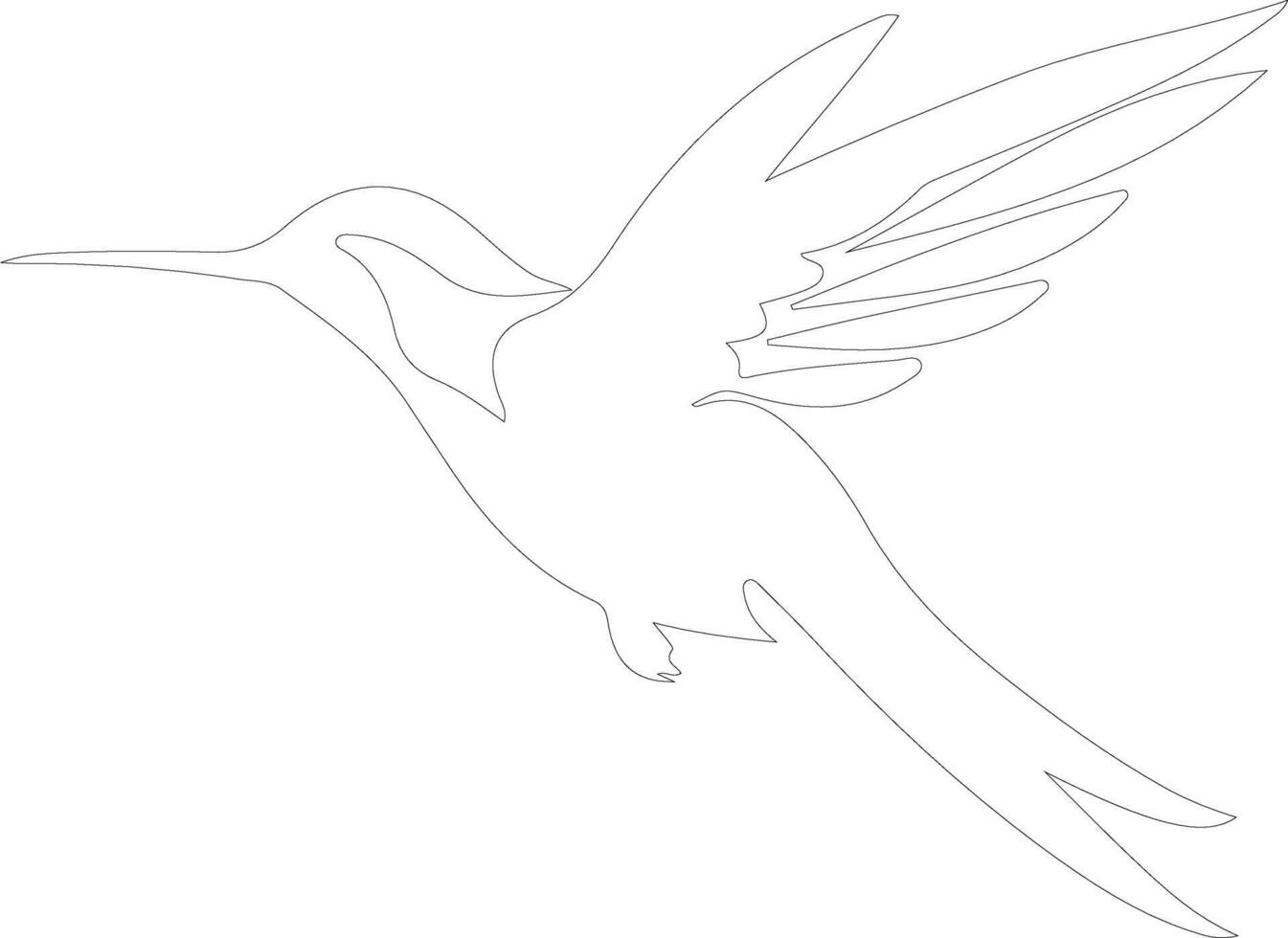 colibrí contorno silueta vector