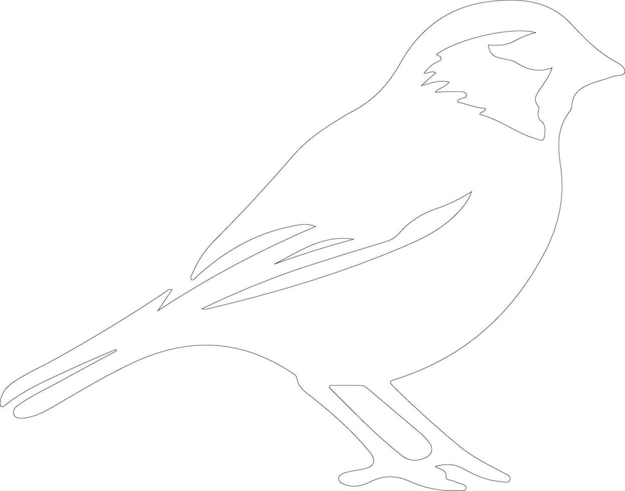 American tree sparrow  outline silhouette vector