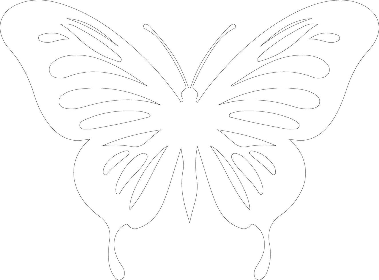 zebra longwing butterfly  outline silhouette vector